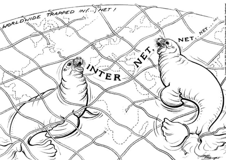 Trapped in net